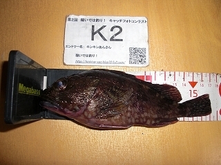 s-2017N1207@2000@JTS@17cm.jpg